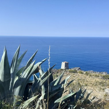 Creuza de Ma: Coastal Nature Trails
