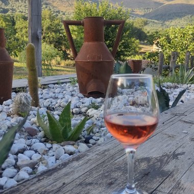 Dal Filare al Bicchiere: Degustazione in Vigna