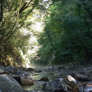 The Canyon of the Naiads - Gorge of Emmisi
