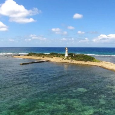 Boat tour to Punta Licosa