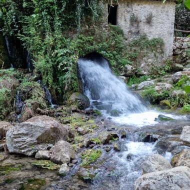 The Resurgent River - Wwf Oasis Morigerati
